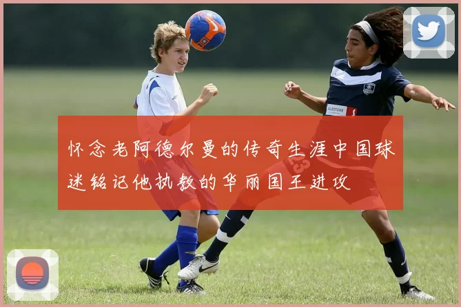 怀念老阿德尔曼的传奇生涯中国球迷铭记他执教的华丽国王进攻