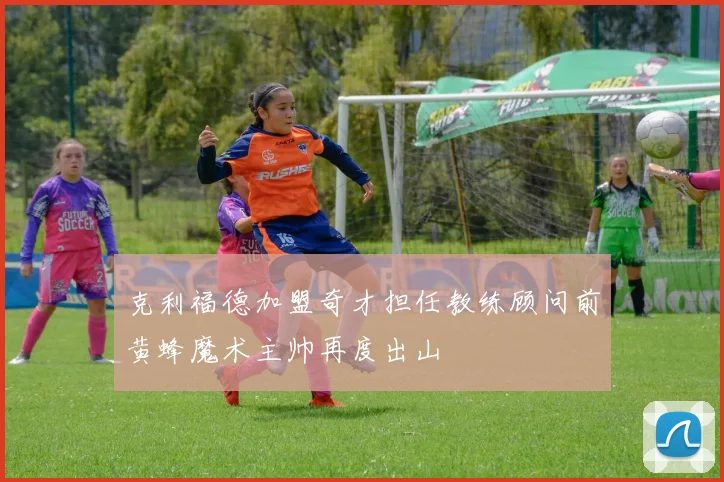 克利福德加盟奇才担任教练顾问前黄蜂魔术主帅再度出山
